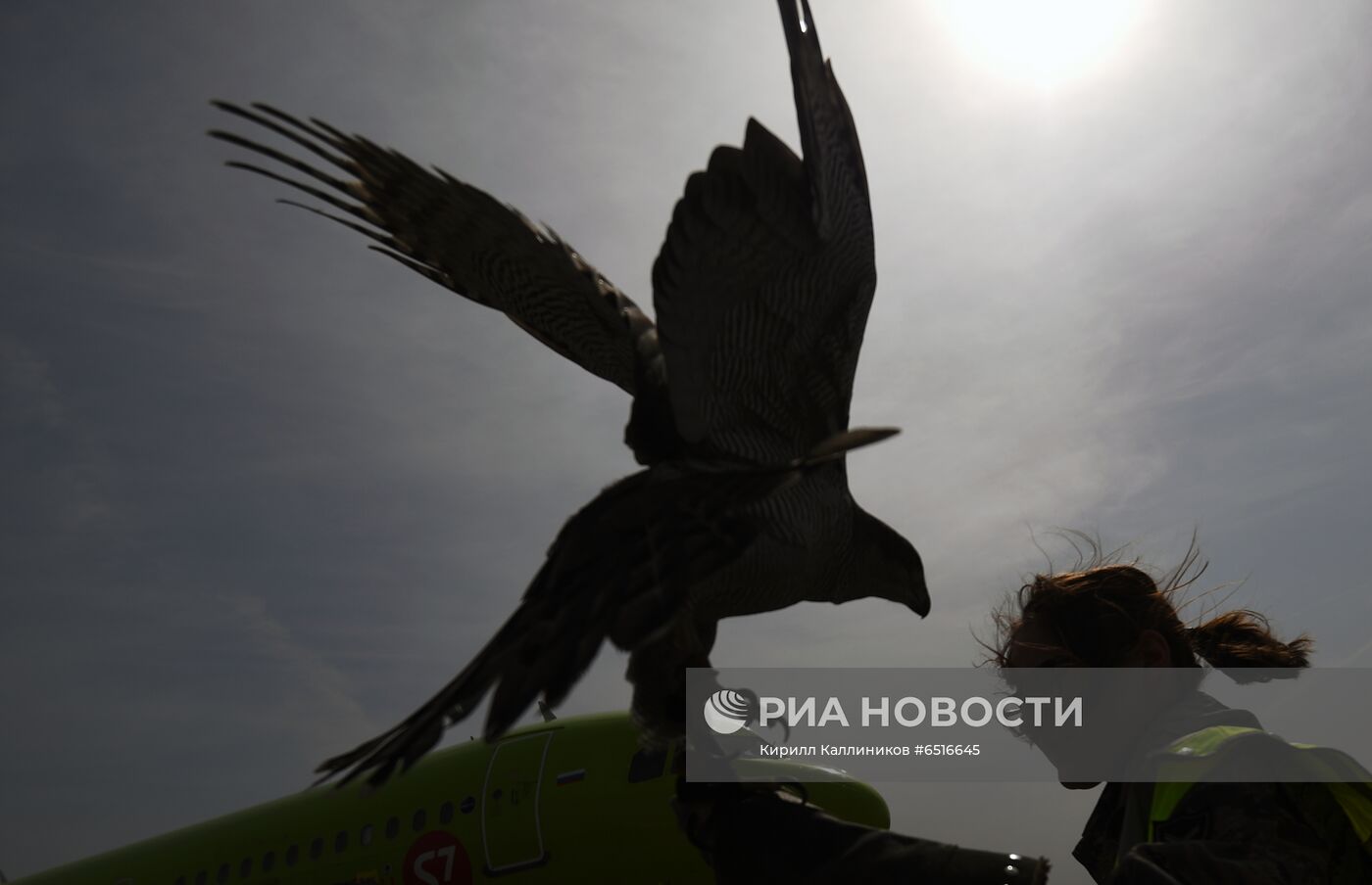 Работа аэропорта Домодедово 