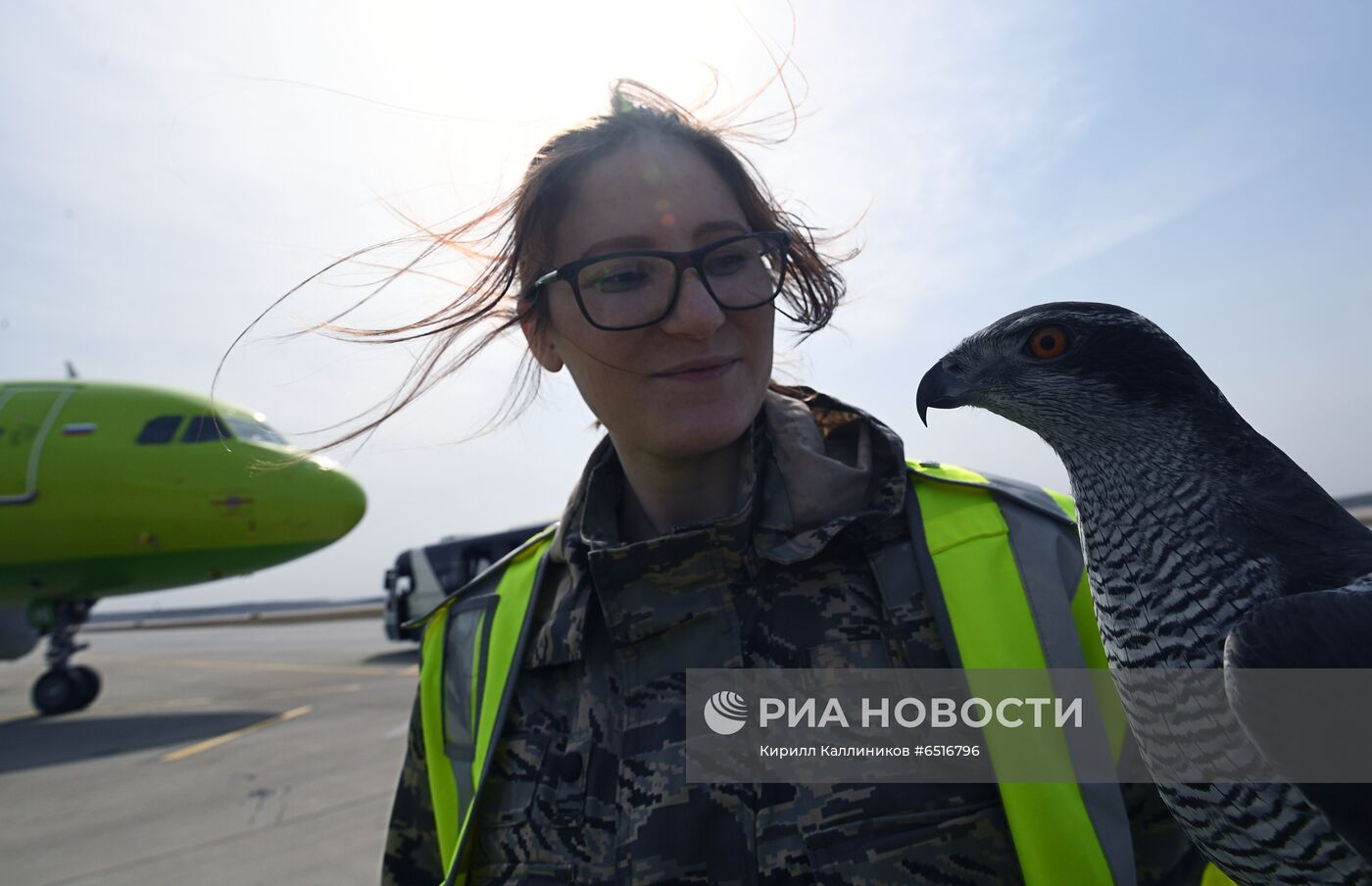 Работа аэропорта Домодедово 