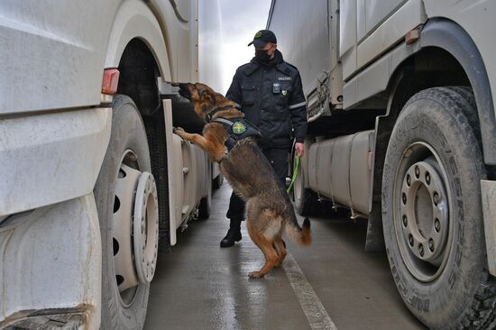 Работа таможни на пункте пропуска между Белоруссией и Латвией