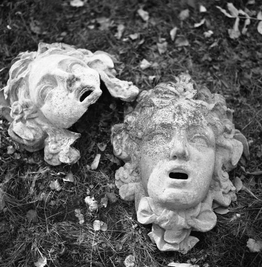 Освобождение Петродворца от фашистско-немецких оккупантов