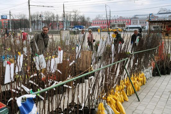 Выездная торговля саженцами в Туле