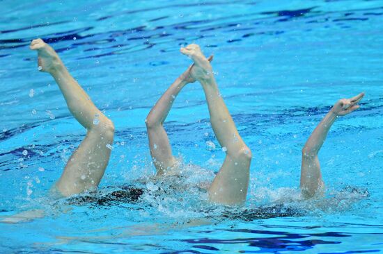 Синхронное плавание. III этап Мировой серии FINA. Дуэт. Техническая программа