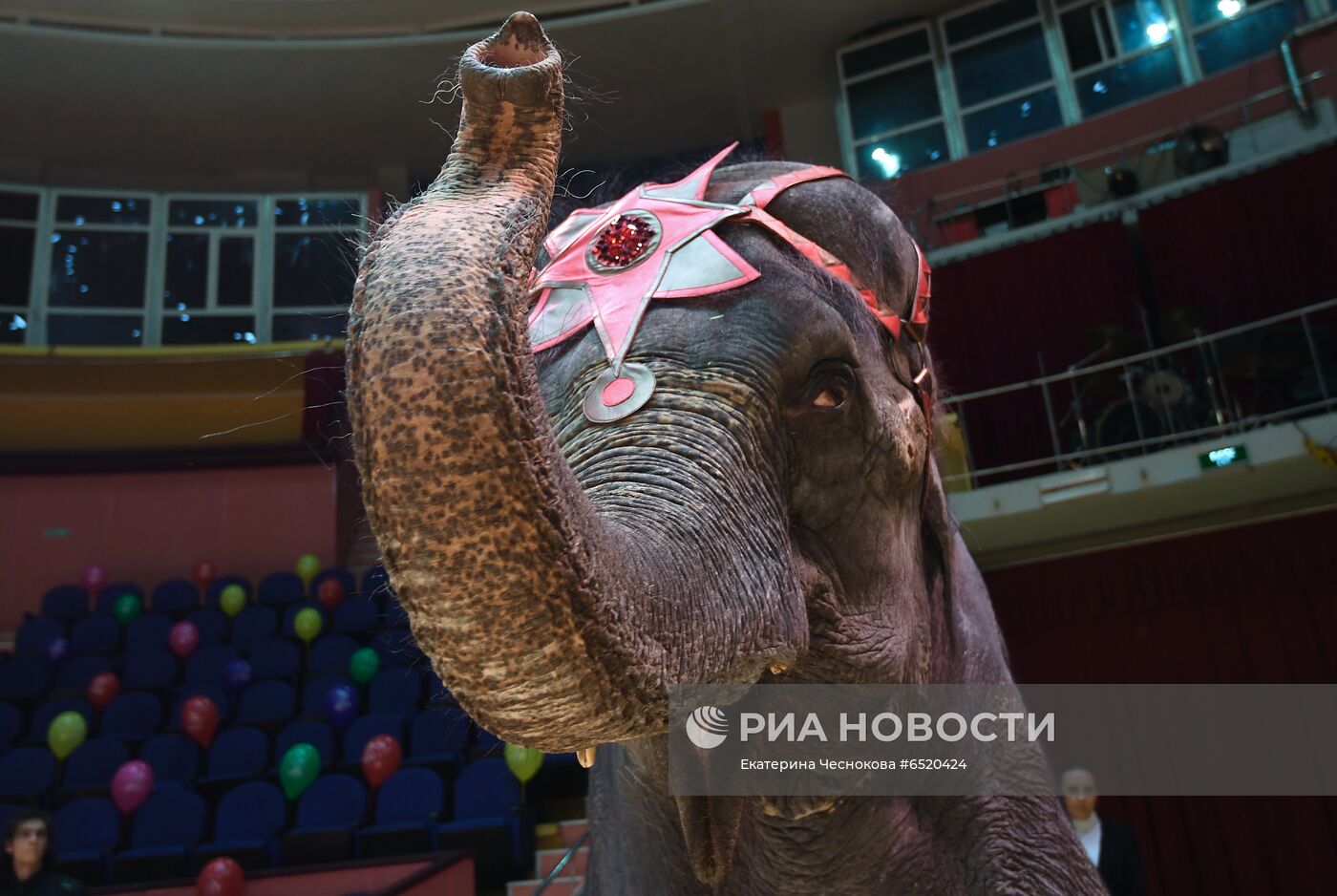 Празднование Всемирного дня цирка в Сочинском госцирке