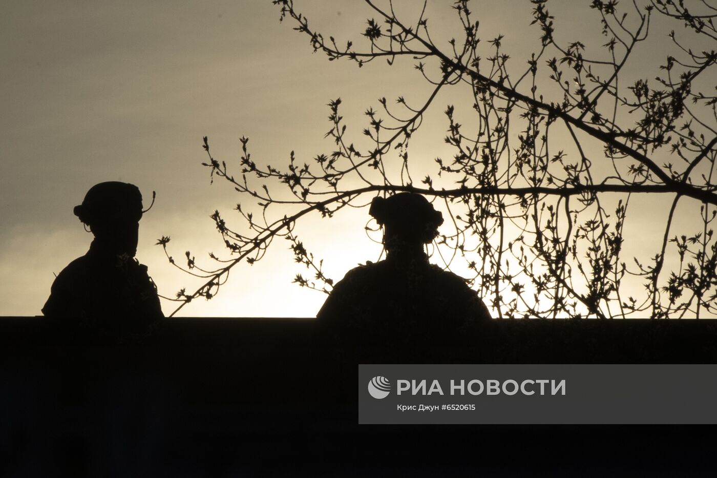 Продолжаются протесты в американском штате Миннесота 