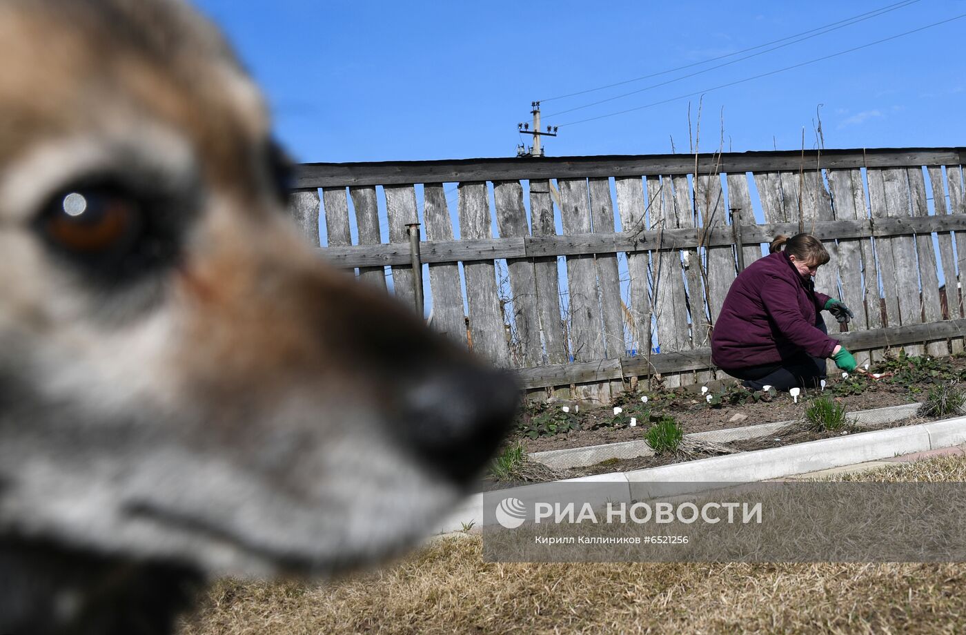 Подготовка к дачному сезону