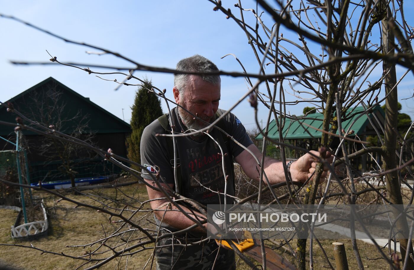 Подготовка к дачному сезону