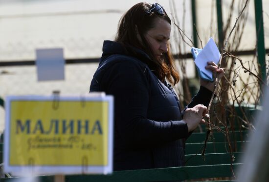 Подготовка к дачному сезону