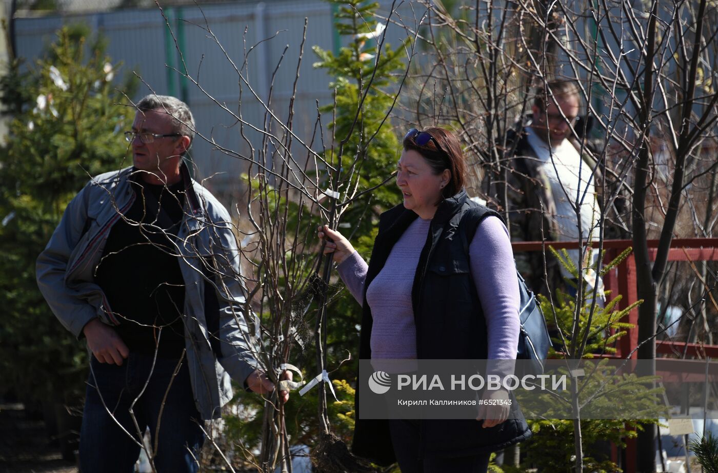 Подготовка к дачному сезону