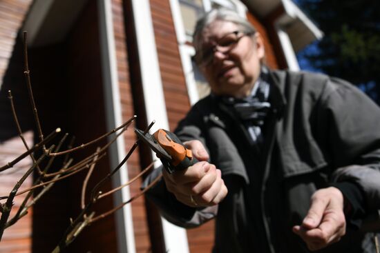 Подготовка к дачному сезону