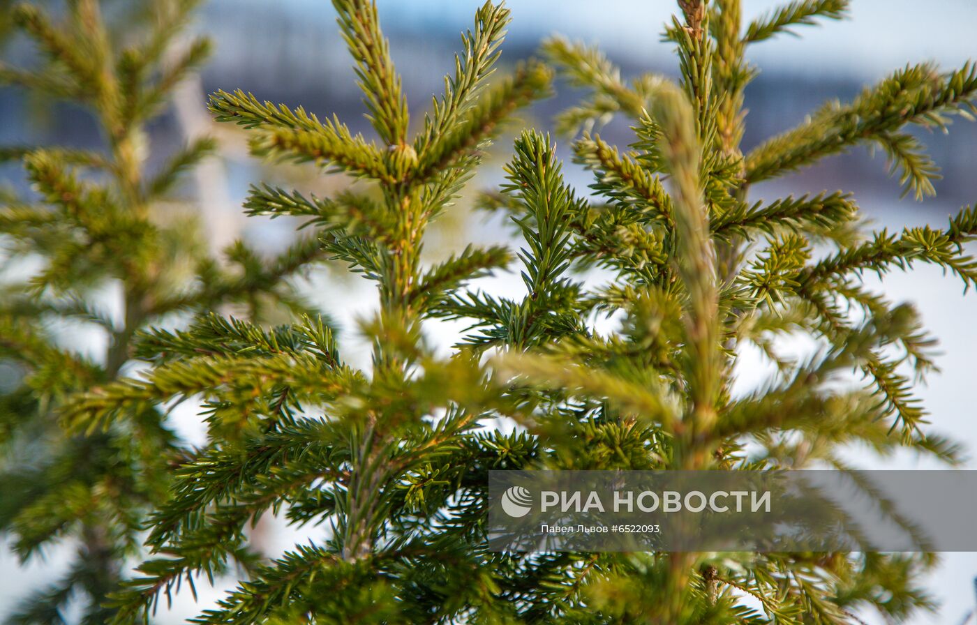 Путешествие на "снежном автобусе" по Хибинам