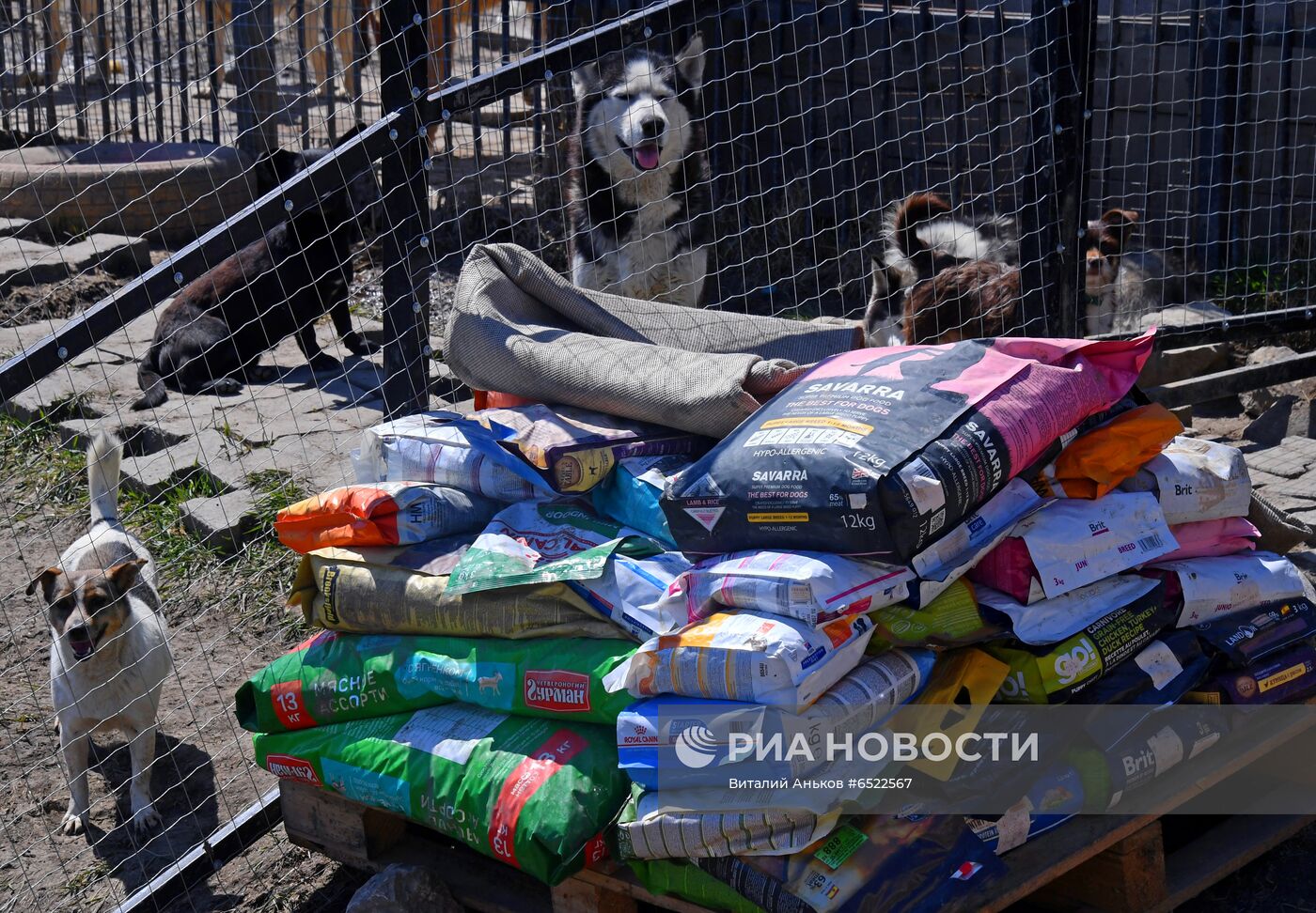 Ветеринарная станция и приют для бродячих собак