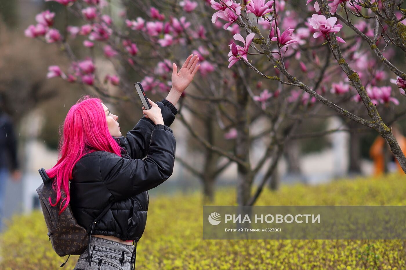 Весеннее цветение растений в Краснодаре