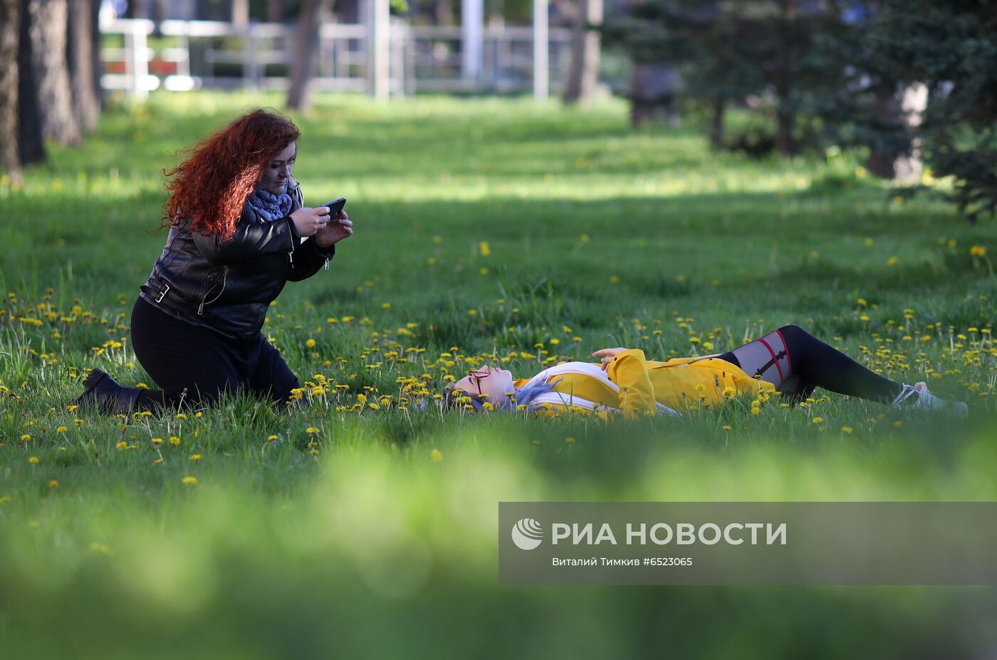 Весеннее цветение растений в Краснодаре