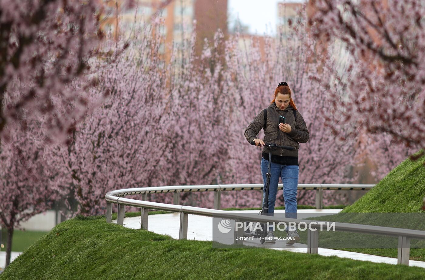 Весеннее цветение растений в Краснодаре