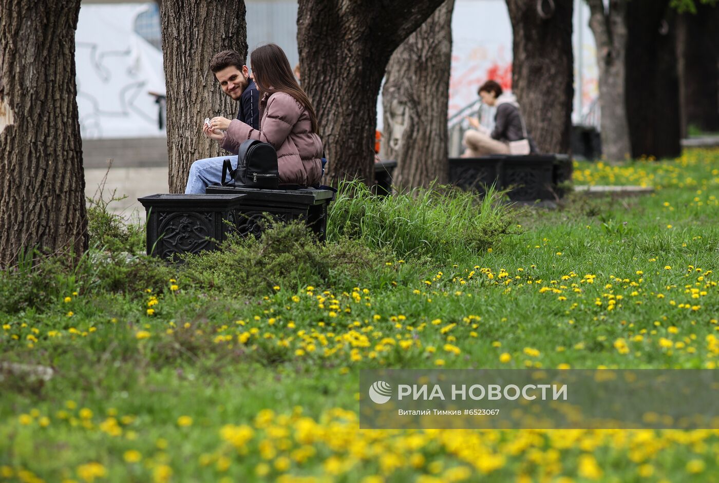 Весеннее цветение растений в Краснодаре