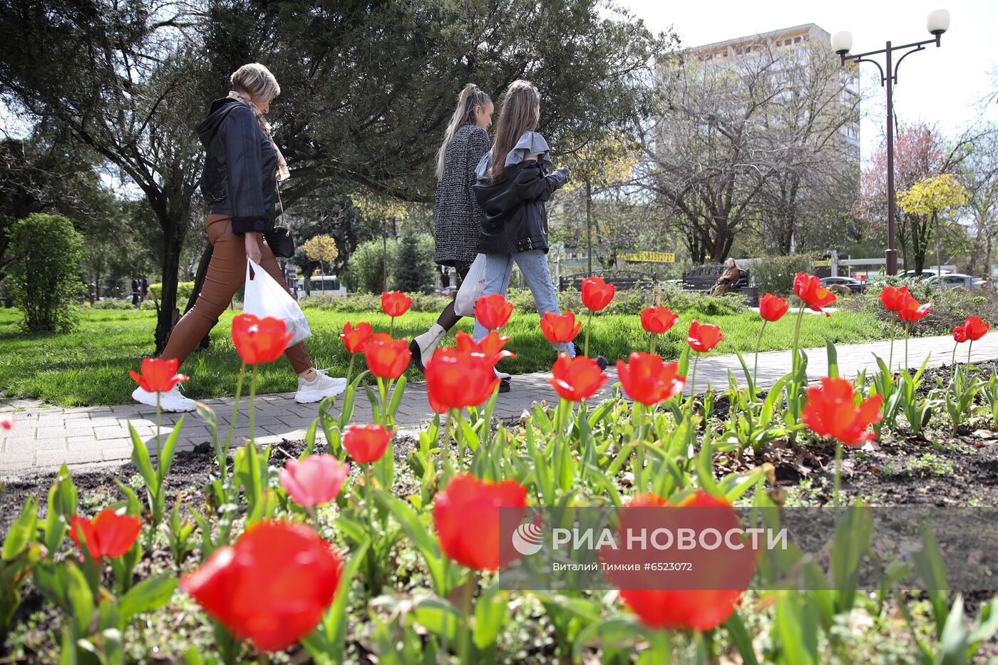 Весеннее цветение растений в Краснодаре