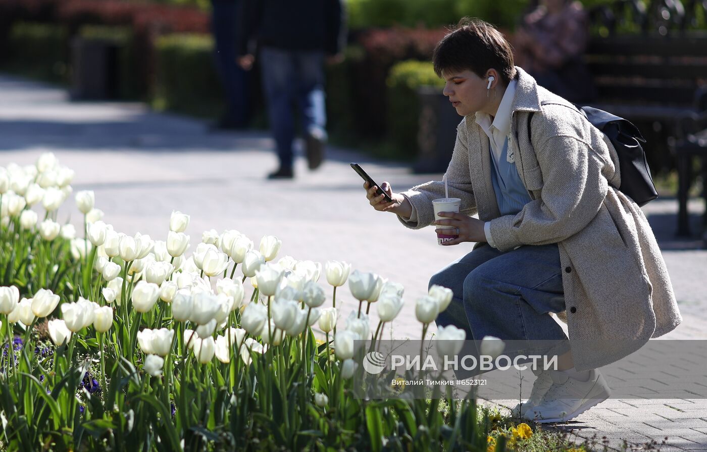 Весеннее цветение растений в Краснодаре