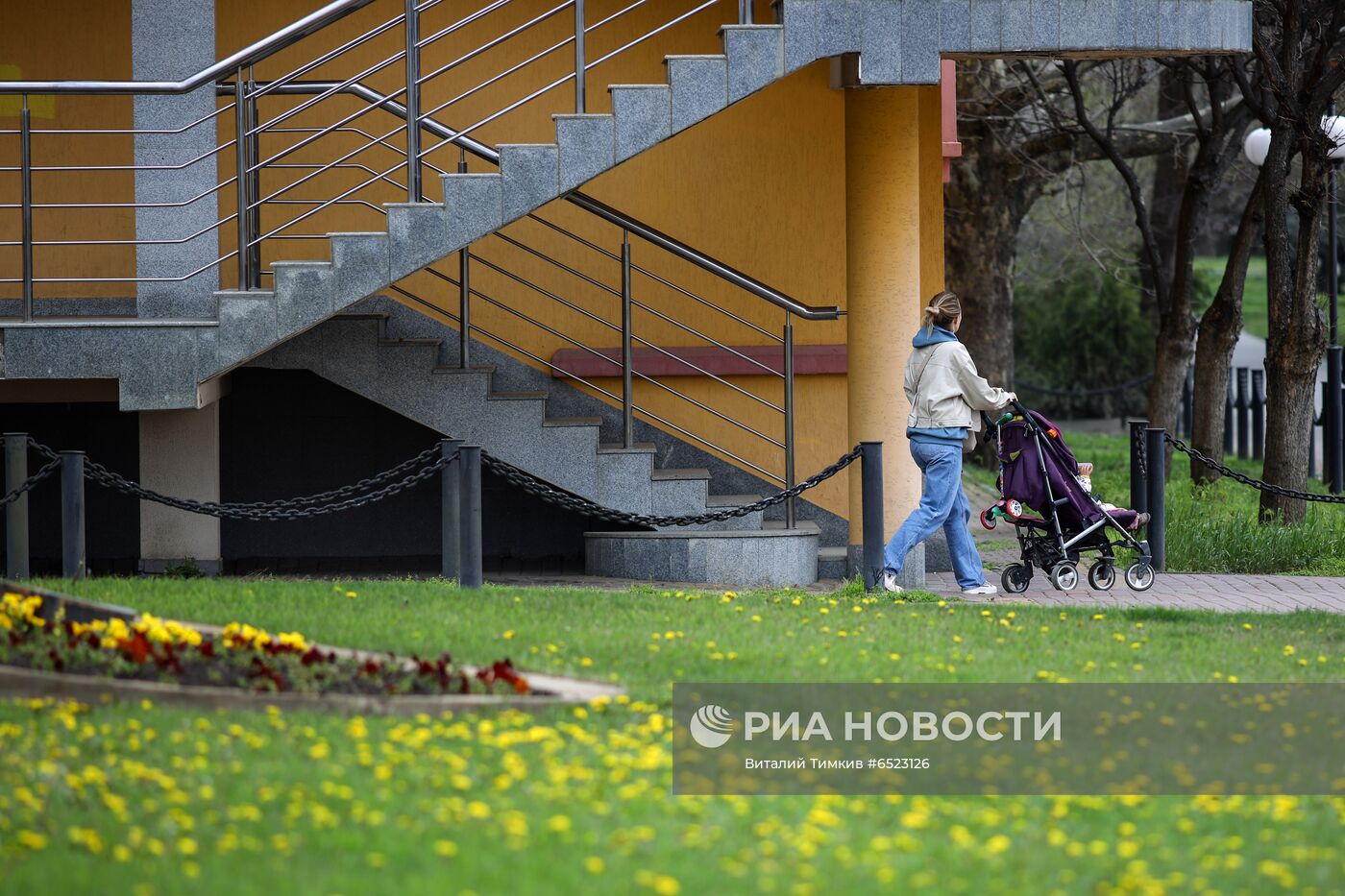 Весеннее цветение растений в Краснодаре