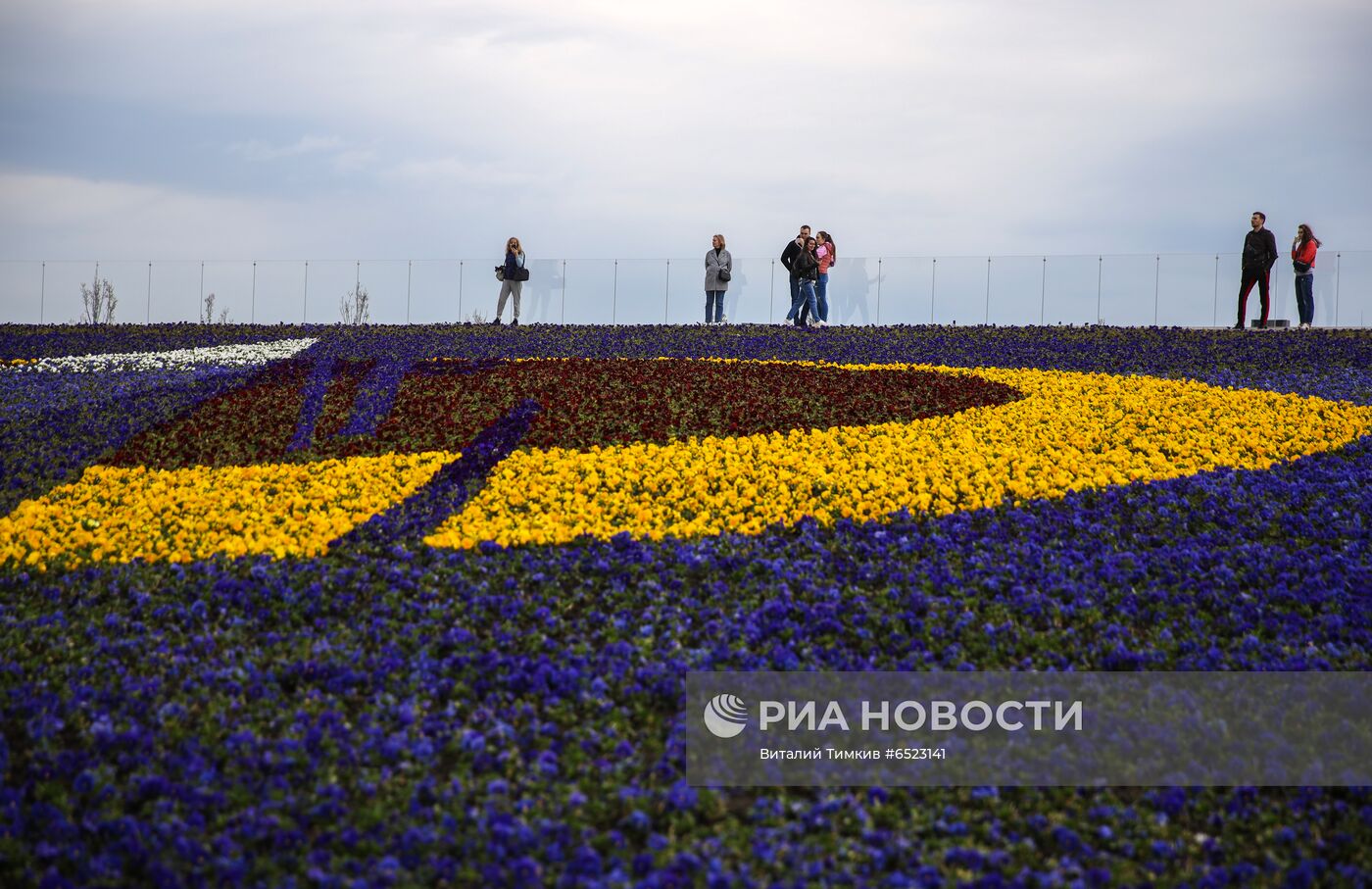 Весеннее цветение растений в Краснодаре