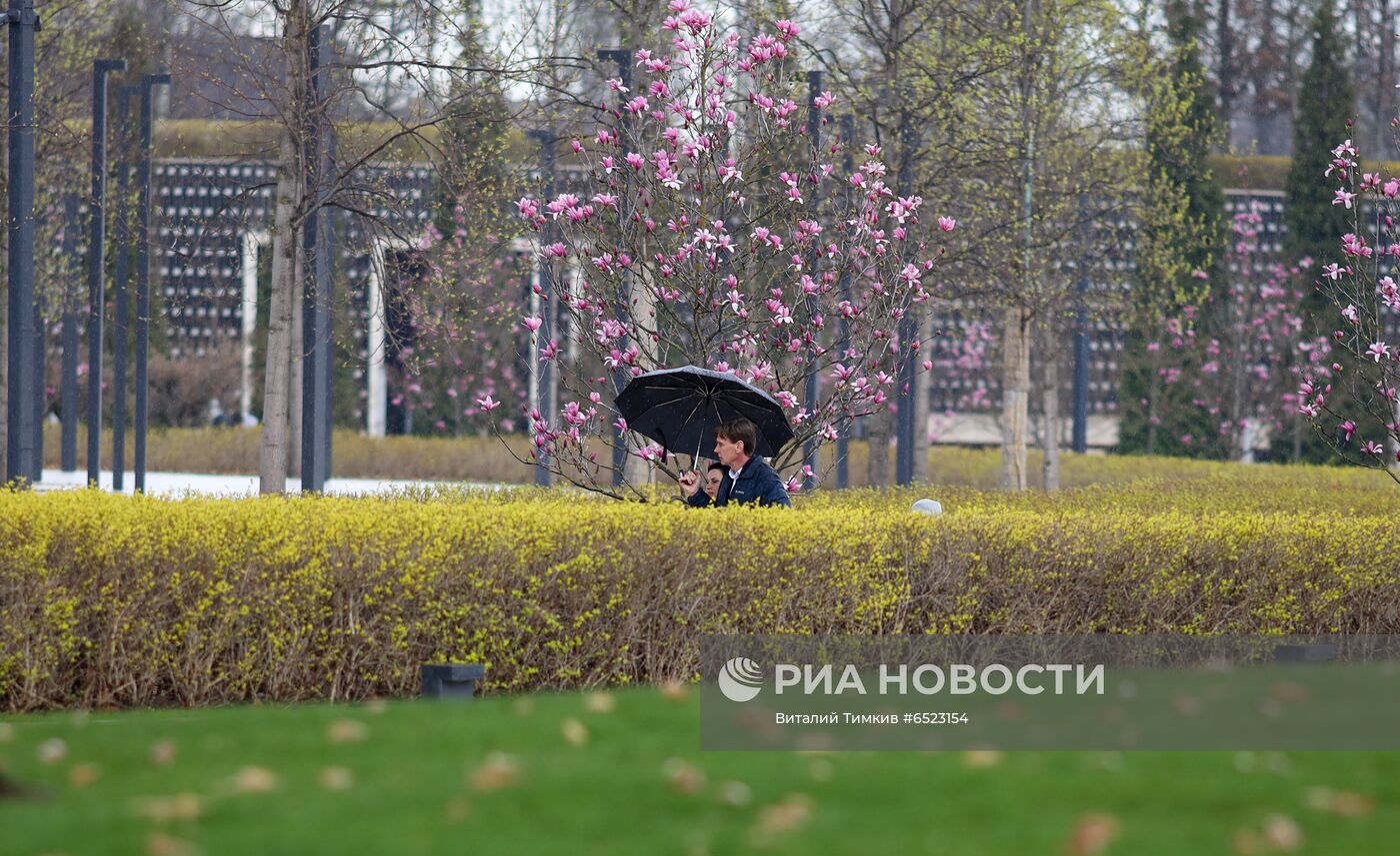 Весеннее цветение растений в Краснодаре