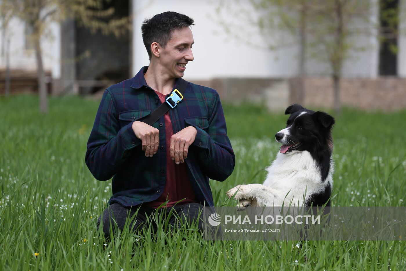 Дрессированная собака по кличке Хьюстон из Краснодара