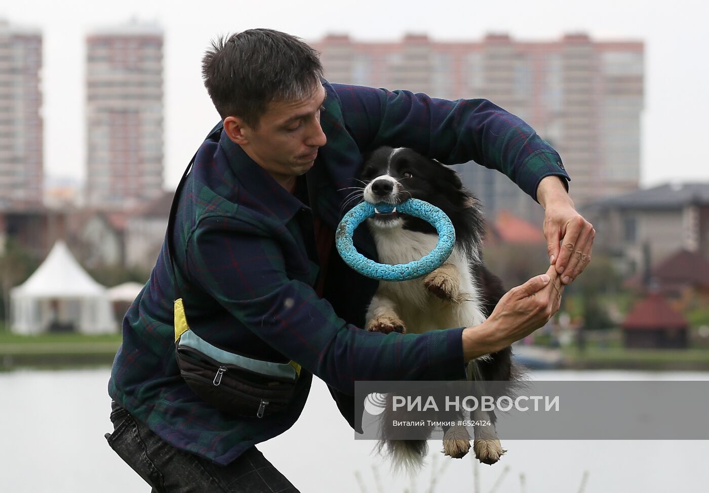 Дрессированная собака по кличке Хьюстон из Краснодара