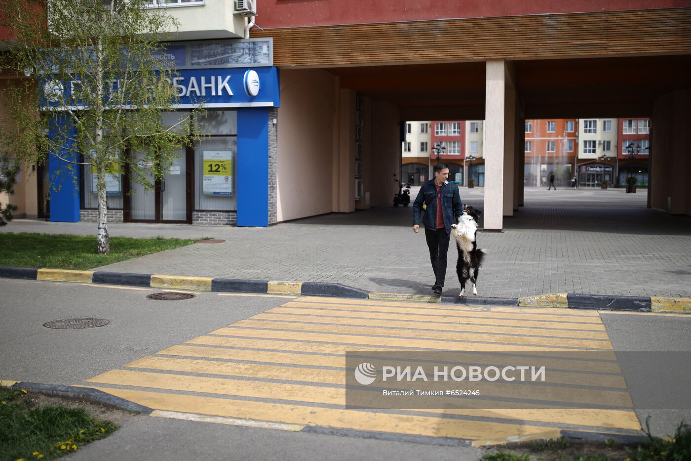 Дрессированная собака по кличке Хьюстон из Краснодара