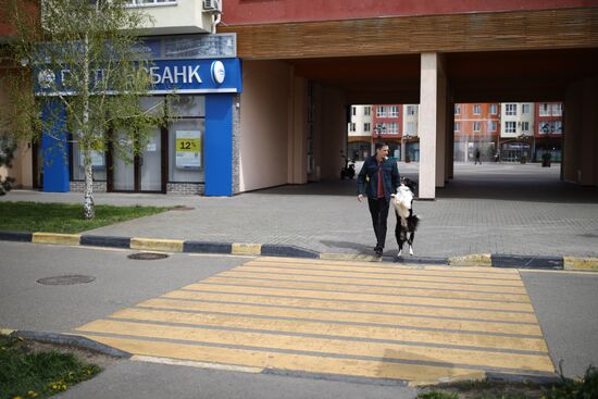 Дрессированная собака по кличке Хьюстон из Краснодара 