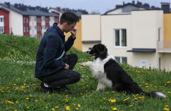 Дрессированная собака по кличке Хьюстон из Краснодара 