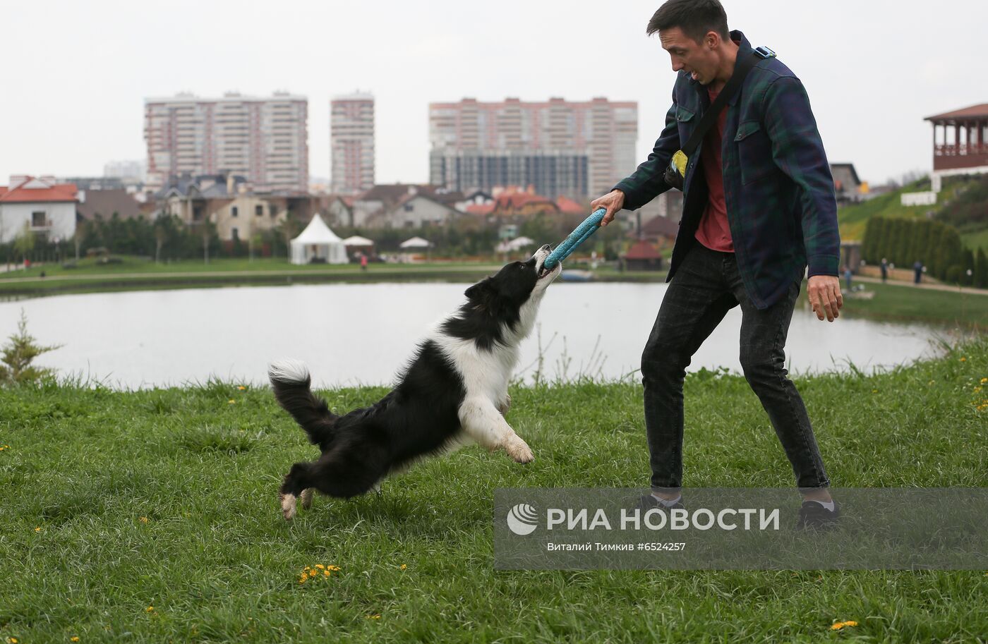 Дрессированная собака по кличке Хьюстон из Краснодара