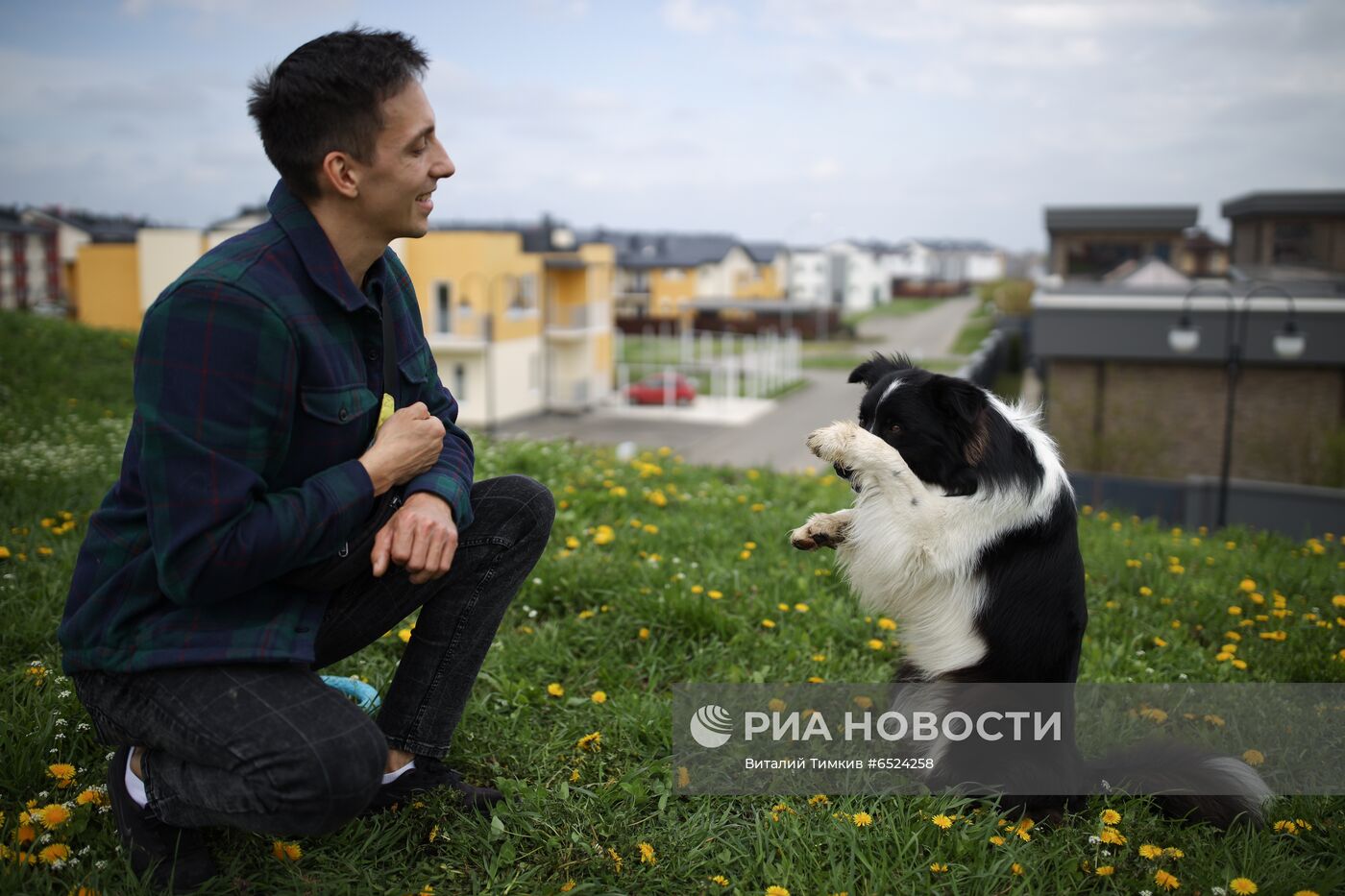 Дрессированная собака по кличке Хьюстон из Краснодара