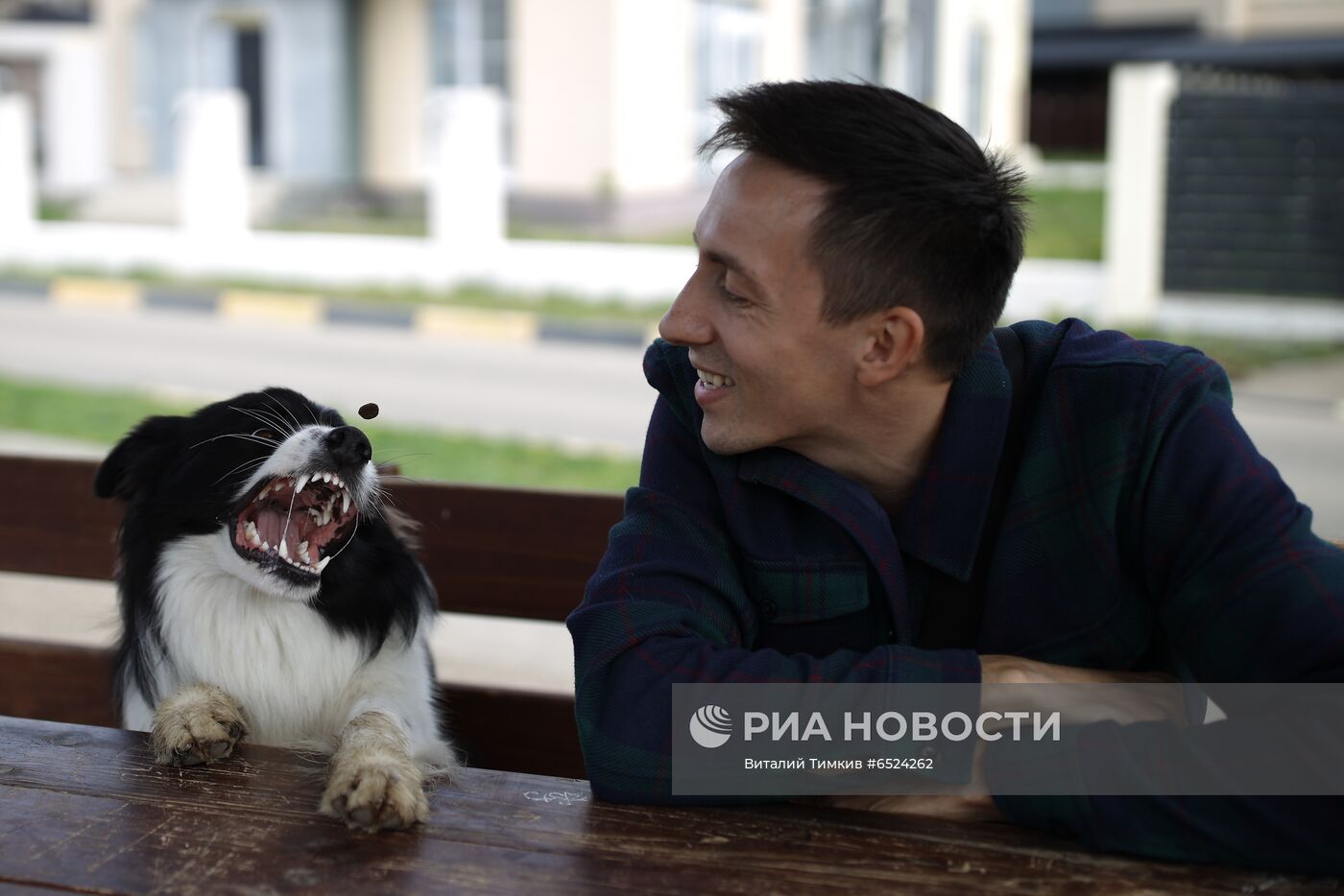 Дрессированная собака по кличке Хьюстон из Краснодара