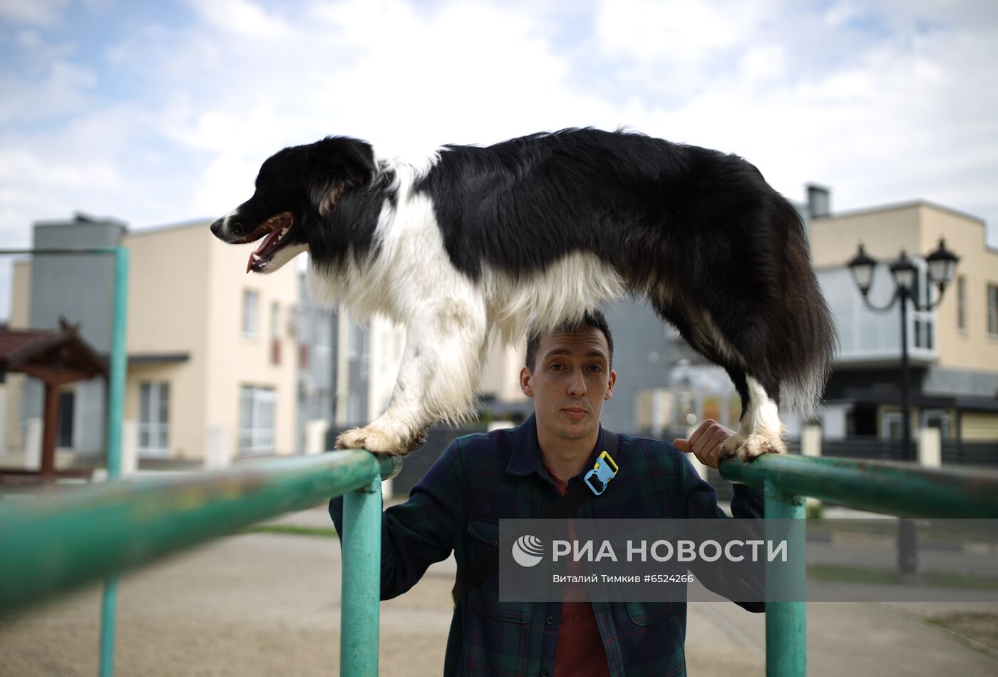 Дрессированная собака по кличке Хьюстон из Краснодара