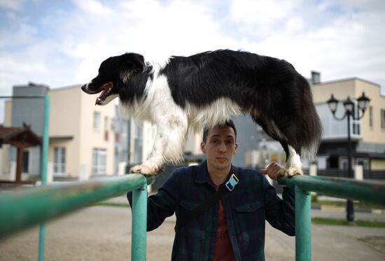 Дрессированная собака по кличке Хьюстон из Краснодара 