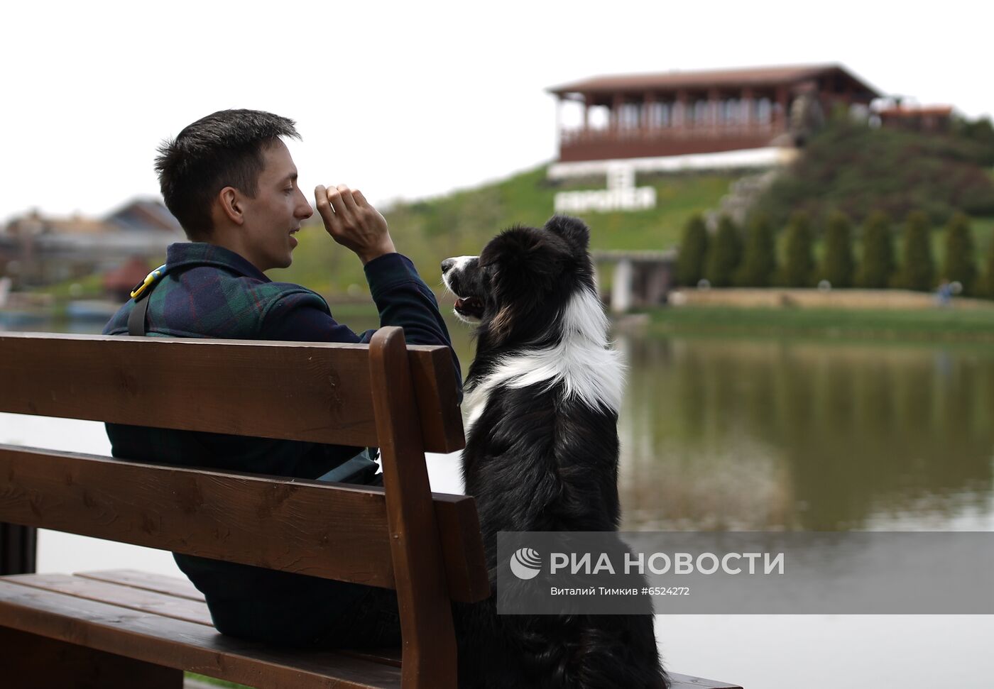 Дрессированная собака по кличке Хьюстон из Краснодара