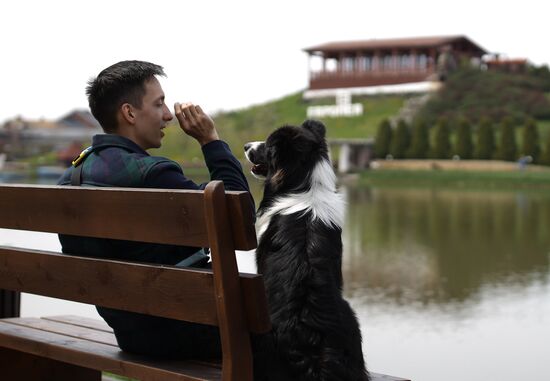 Дрессированная собака по кличке Хьюстон из Краснодара 