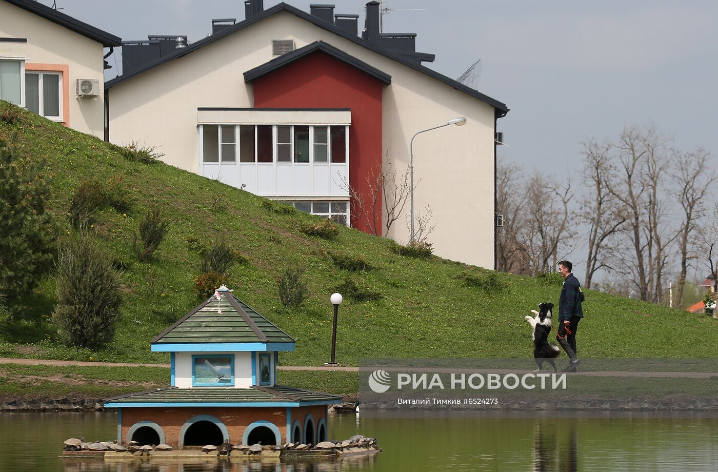 Дрессированная собака по кличке Хьюстон из Краснодара