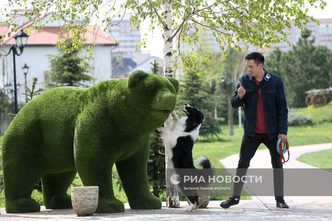 Дрессированная собака по кличке Хьюстон из Краснодара