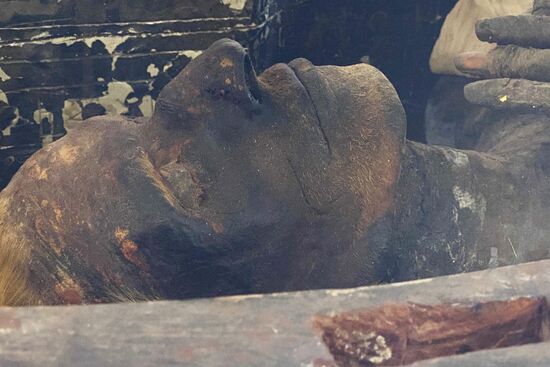 Страны мира. Египет