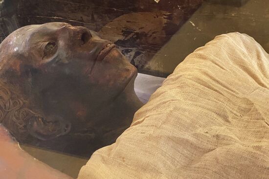 Страны мира. Египет