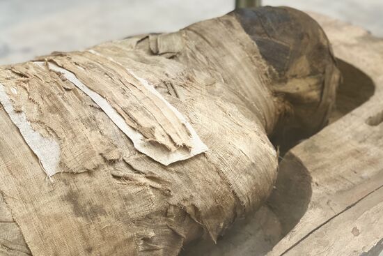 Страны мира. Египет