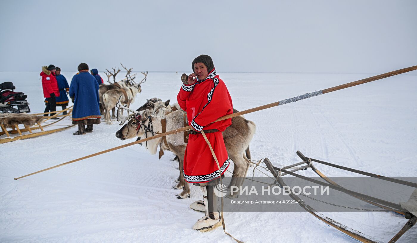 Празднование Дня оленевода на Таймыре