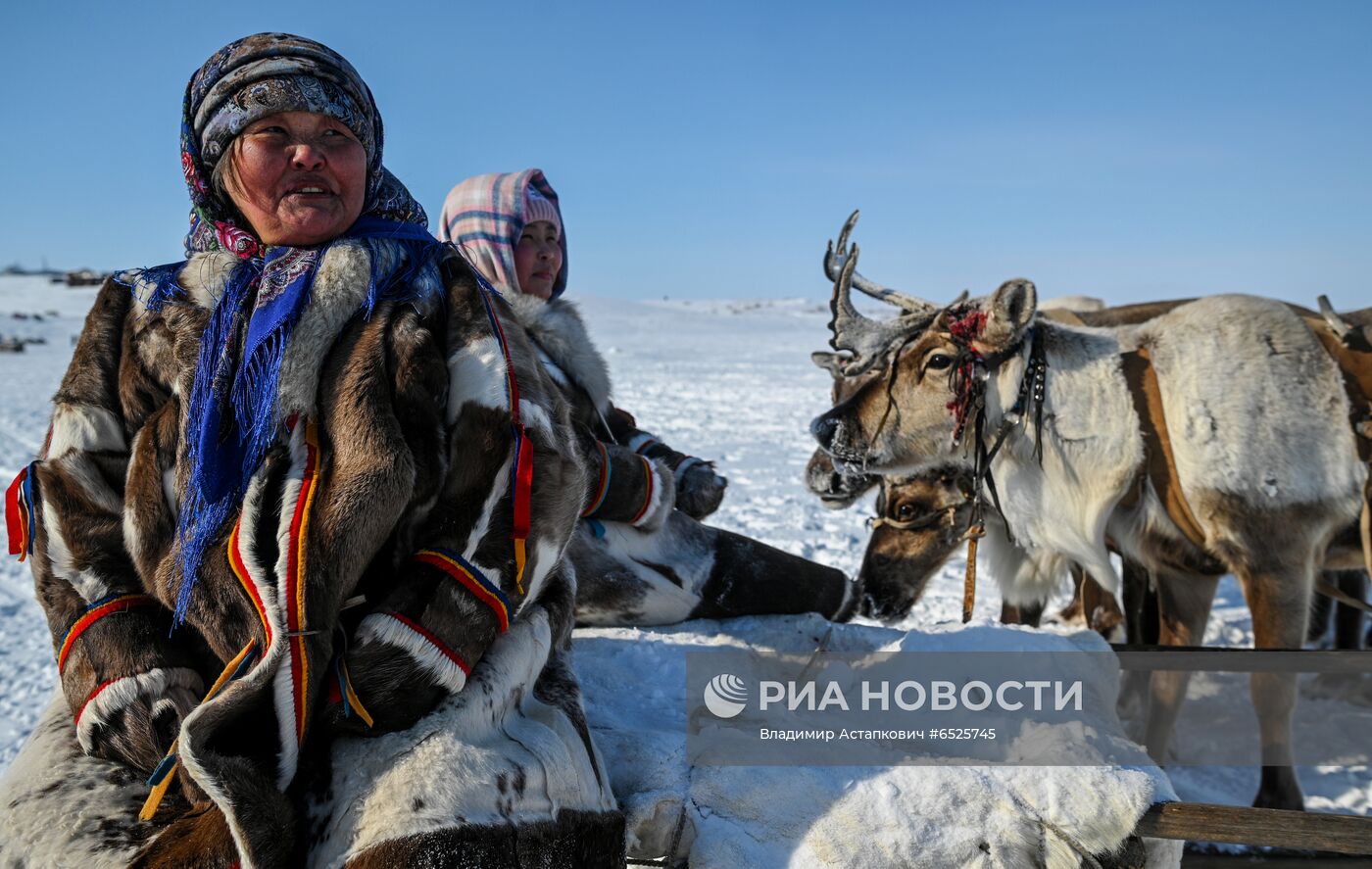 Празднование Дня оленевода на Таймыре