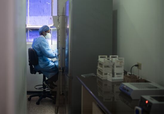 Тестирование на коронавирус в Венесуэле