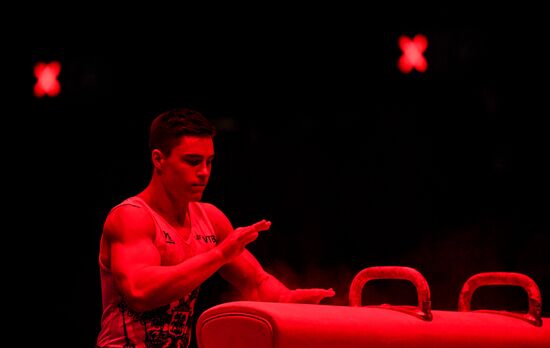 Спортивная гимнастика. Чемпионат Европы. Отдельные снаряды. Первый день