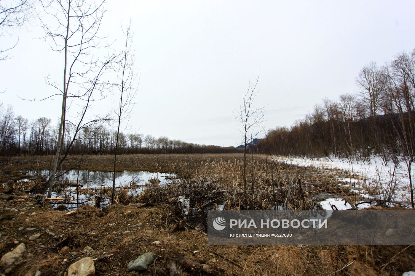 В Байкальске действует режим ЧС из-за угрозы попадания в Байкал отходов с БЦБК