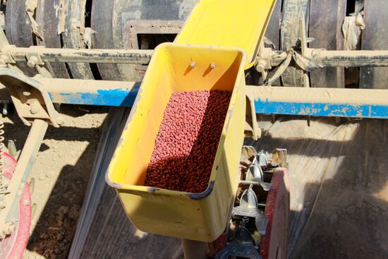 Синьцзян-Уйгурский автономный район