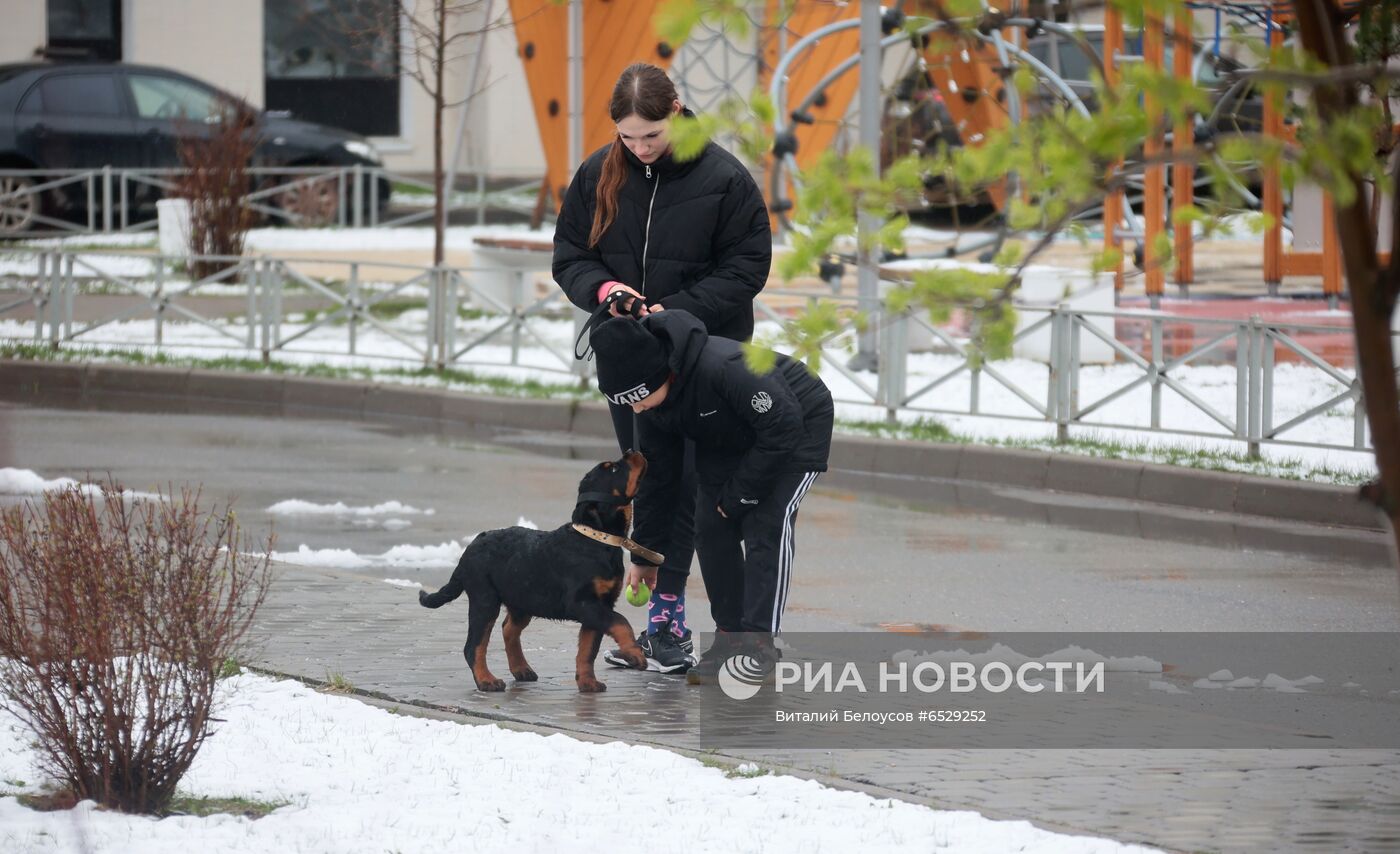 Снег в Московской области