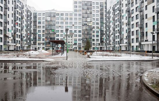 Снег в Московской области