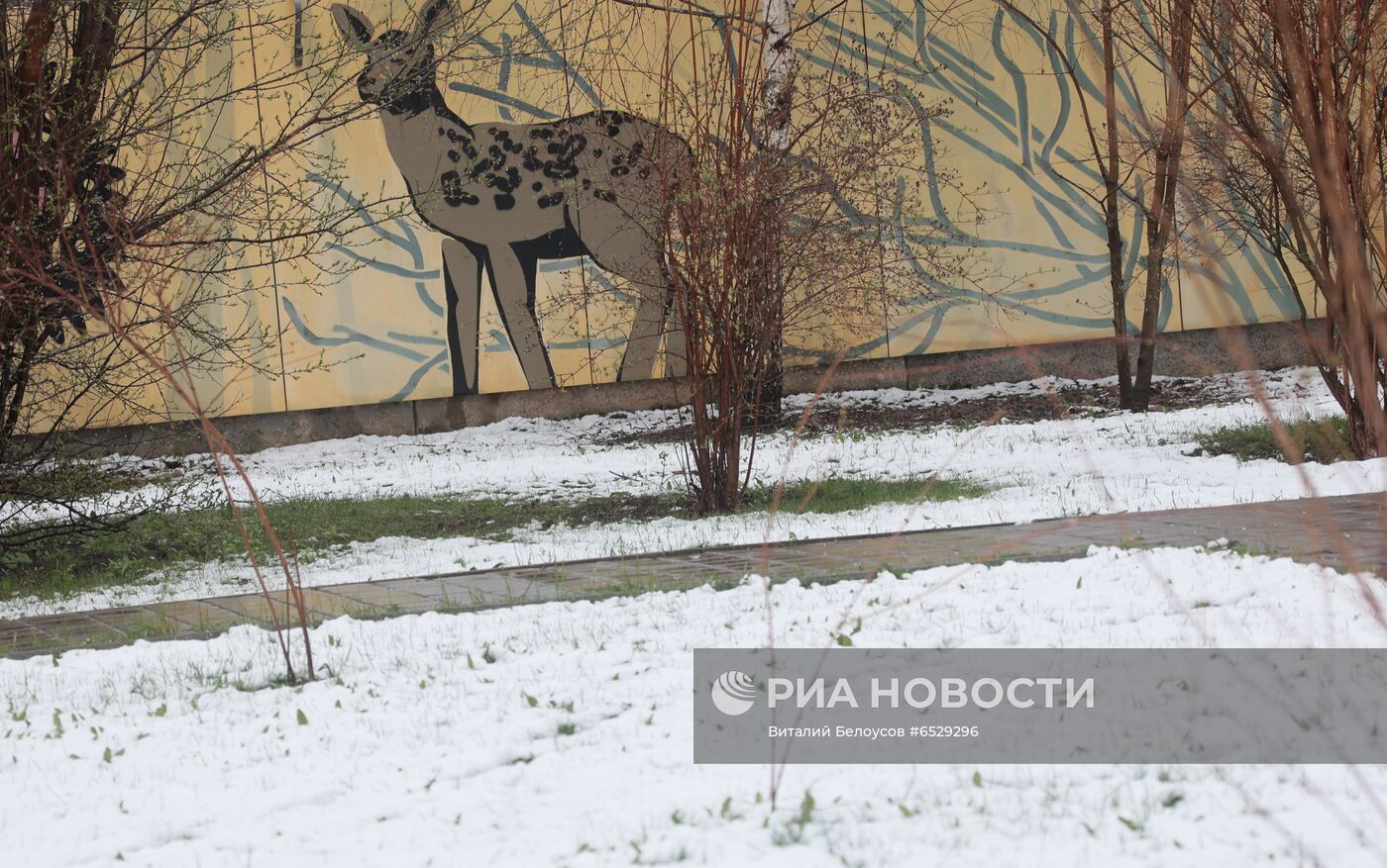 Снег в Московской области